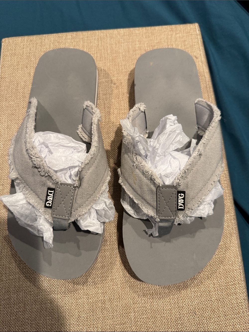 DWG - men’s Gray Frayed Canvas Flip Flops